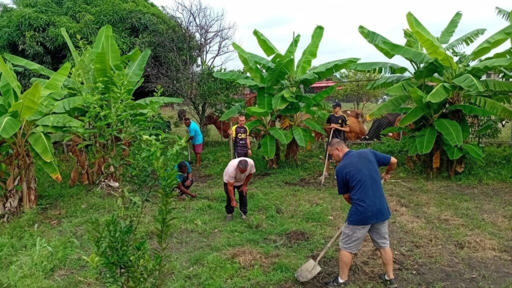 Gemensamt trädgårdsarbete som del av lokalt stöd och gemenskap i Colombia