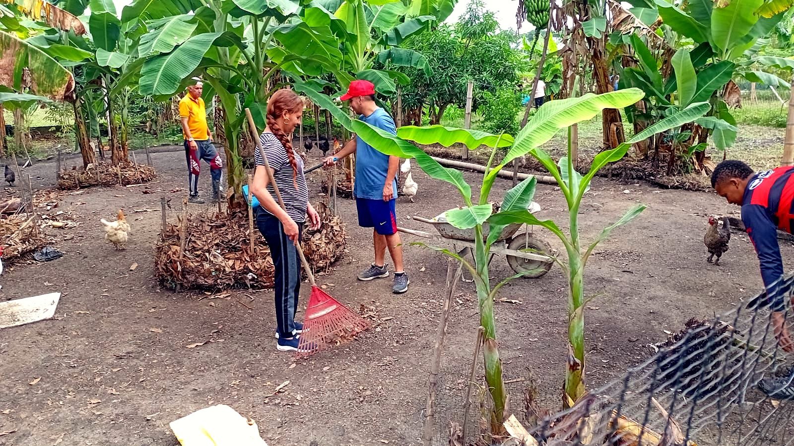 Förebyggande arbete och lokal aktivitet i Colombia